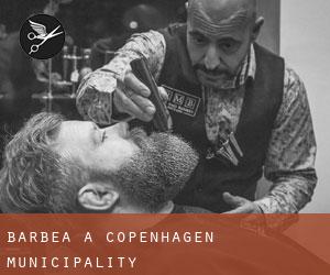 Barbea à Copenhagen municipality Barbea à Copenhagen municipality