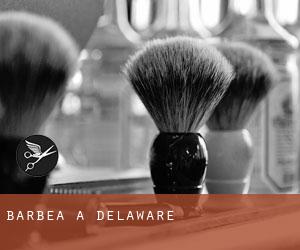 Barbea à Delaware Barbea à Delaware