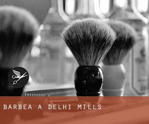 Barbea à Delhi Mills