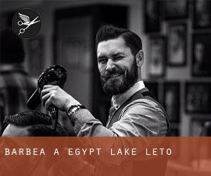 Barbea à Egypt Lake-Leto