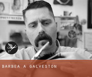 Barbea à Galveston Barbea à Galveston