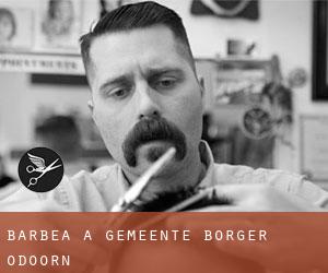 Barbea à Gemeente Borger-Odoorn Barbea à Gemeente Borger-Odoorn