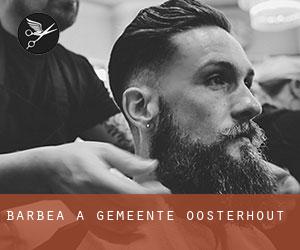 Barbea à Gemeente Oosterhout Barbea à Gemeente Oosterhout
