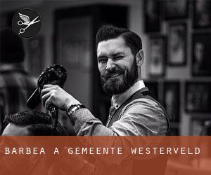 Barbea à Gemeente Westerveld Barbea à Gemeente Westerveld