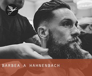 Barbea à Hahnenbach
