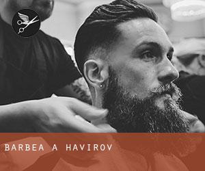 Barbea à Havířov