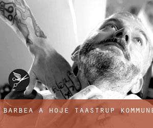 Barbea à Høje-Taastrup Kommune Barbea à Høje-Taastrup Kommune