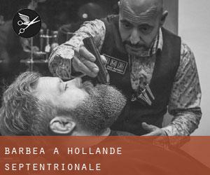 Barbea à Hollande-Septentrionale Barbea à Hollande-Septentrionale