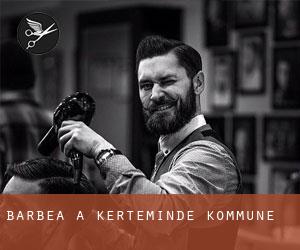 Barbea à Kerteminde Kommune Barbea à Kerteminde Kommune