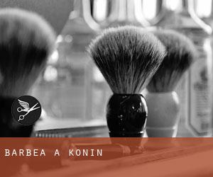 Barbea à Konin