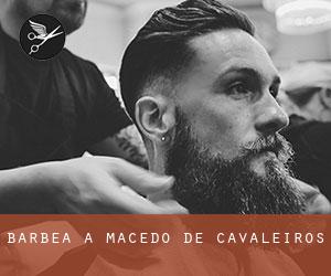 Barbea à Macedo de Cavaleiros Barbea à Macedo de Cavaleiros
