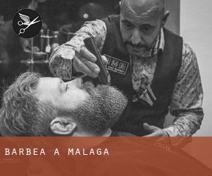 Barbea à Malaga Barbea à Malaga