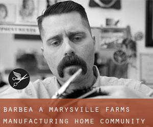 Barbea à Marysville Farms Manufacturing Home Community