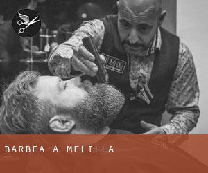 Barbea à Melilla Barbea à Melilla