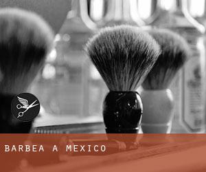Barbea à México