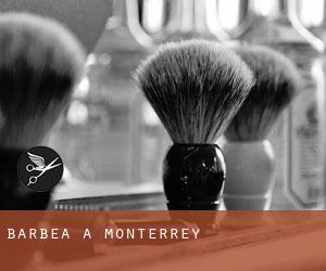 Barbea à Monterrey