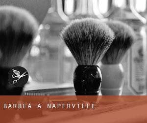 Barbea à Naperville Barbea à Naperville