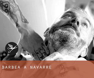 Barbea à Navarre Barbea à Navarre