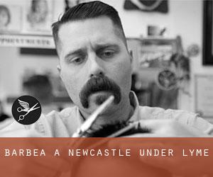 Barbea à Newcastle-under-Lyme Barbea à Newcastle-under-Lyme