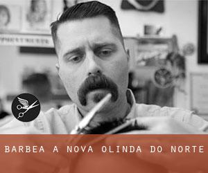 Barbea à Nova Olinda do Norte Barbea à Nova Olinda do Norte