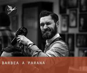 Barbea à Paraná Barbea à Paraná