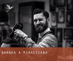 Barbea à Piracicaba Barbea à Piracicaba
