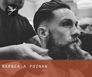 Barbea à Poznań Barbea à Poznań