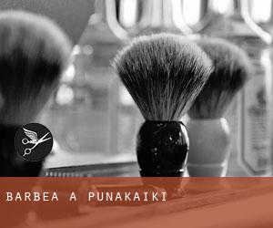 Barbea à Punakaiki