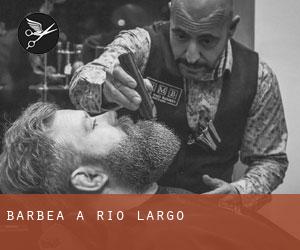 Barbea à Rio Largo Barbea à Rio Largo