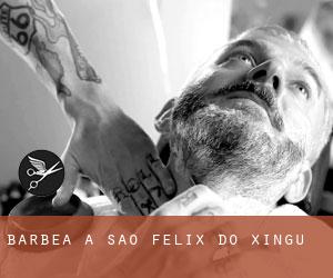 Barbea à São Félix do Xingu Barbea à São Félix do Xingu
