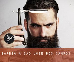 Barbea à São José dos Campos Barbea à São José dos Campos