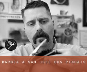 Barbea à São José dos Pinhais Barbea à São José dos Pinhais