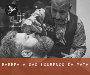 Barbea à São Lourenço da Mata Barbea à São Lourenço da Mata
