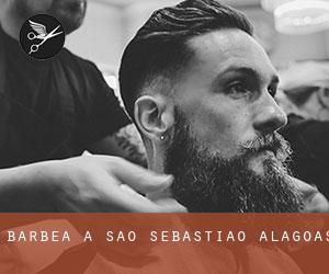 Barbea à São Sebastião (Alagoas) Barbea à São Sebastião (Alagoas)