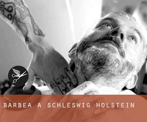 Barbea à Schleswig-Holstein Barbea à Schleswig-Holstein