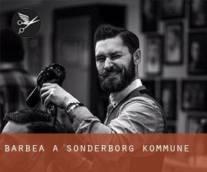 Barbea à Sønderborg Kommune Barbea à Sønderborg Kommune