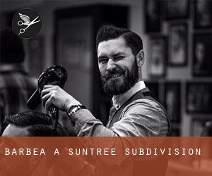 Barbea à Suntree Subdivision