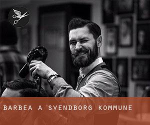 Barbea à Svendborg Kommune Barbea à Svendborg Kommune