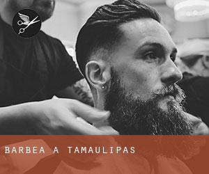 Barbea à Tamaulipas