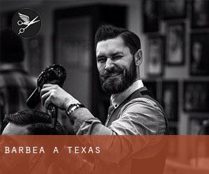 Barbea à Texas Barbea à Texas