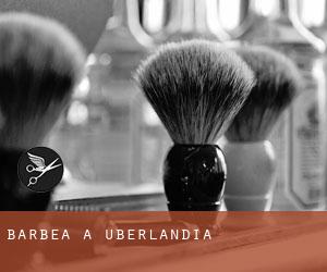 Barbea à Uberlândia Barbea à Uberlândia