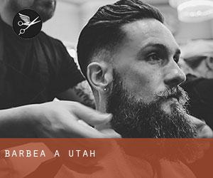Barbea à Utah