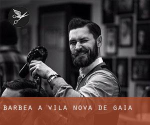 Barbea à Vila Nova de Gaia Barbea à Vila Nova de Gaia