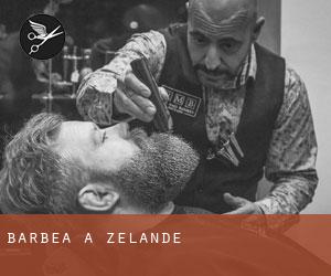 Barbea à Zélande Barbea à Zélande