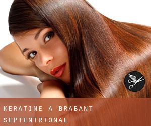 Kératine à Brabant-Septentrional Kératine à Brabant-Septentrional