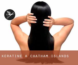 Kératine à Chatham Islands