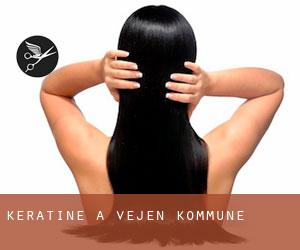 Kératine à Vejen Kommune Kératine à Vejen Kommune