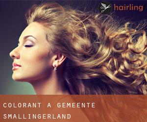 Colorant à Gemeente Smallingerland Colorant à Gemeente Smallingerland