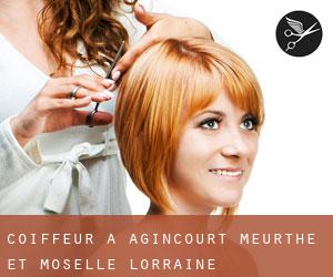 coiffeur à Agincourt (Meurthe-et-Moselle, Lorraine)