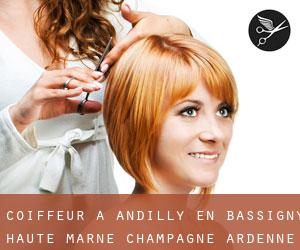 coiffeur à Andilly-en-Bassigny (Haute-Marne, Champagne-Ardenne)